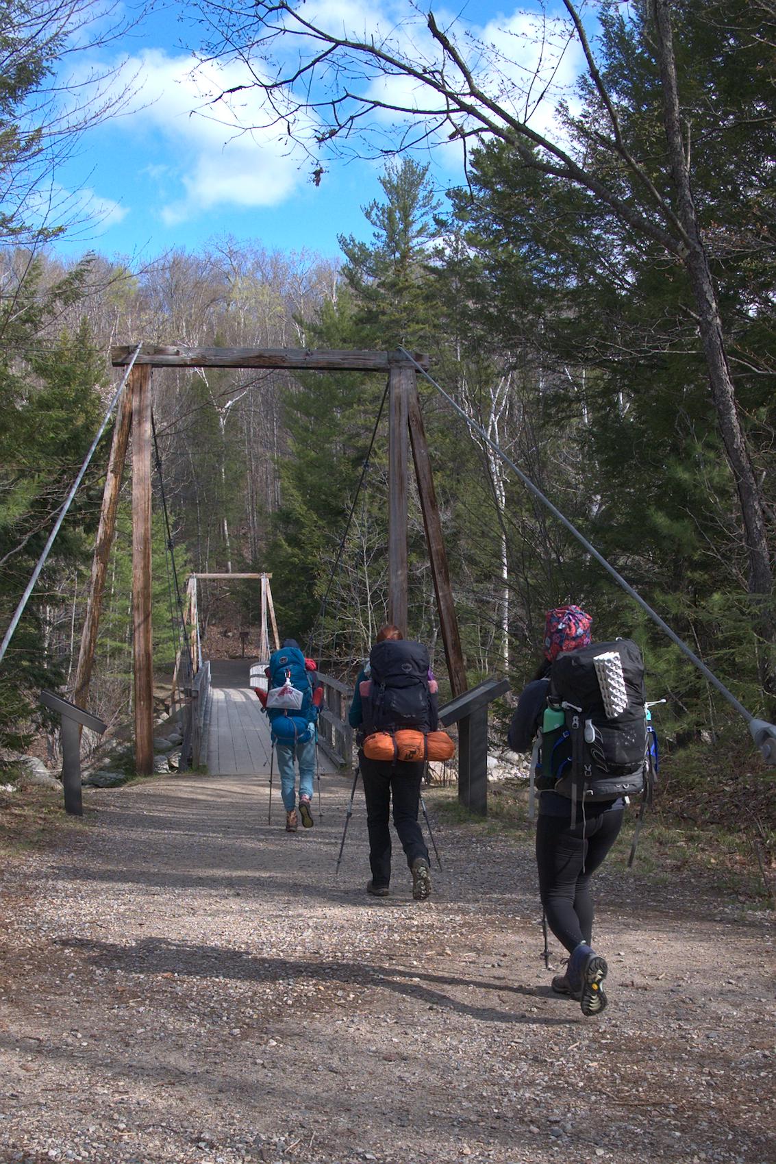 Group of hikers